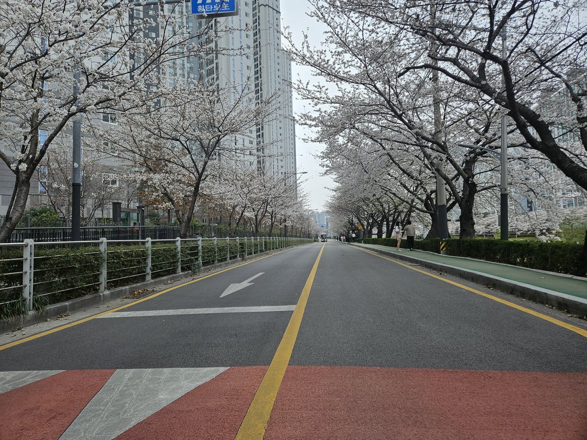 name (@nameisnameis) on Twitter photo 