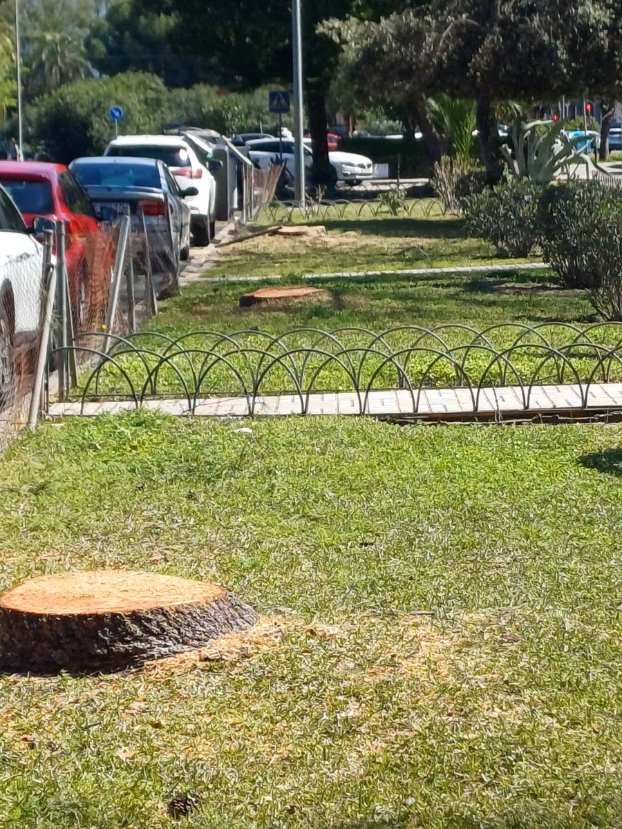 Distrito Este Limpio tweet media