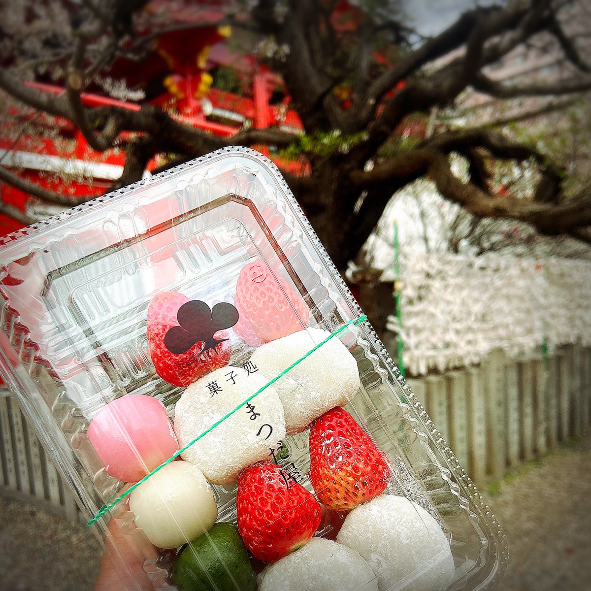 tomas69b's tweet image. 桜はまだまだ🌸⚡️
でも団子は🍡美味い(ｰｰ)ｳﾏ⚡️

本日‼️大須UNLIMITS
THE KOOL OPERATORS⚡️
KAZUTO ＆ MIGHTY BLOW
NEW ALBUM
『POPPIN&apos;SLAPIN&apos;』
レコ発名古屋編サンダー⚡️
まだまだカムカムサンダーよ

#today #thekooloperators⚡️ #unlimits #osu #rocknroll