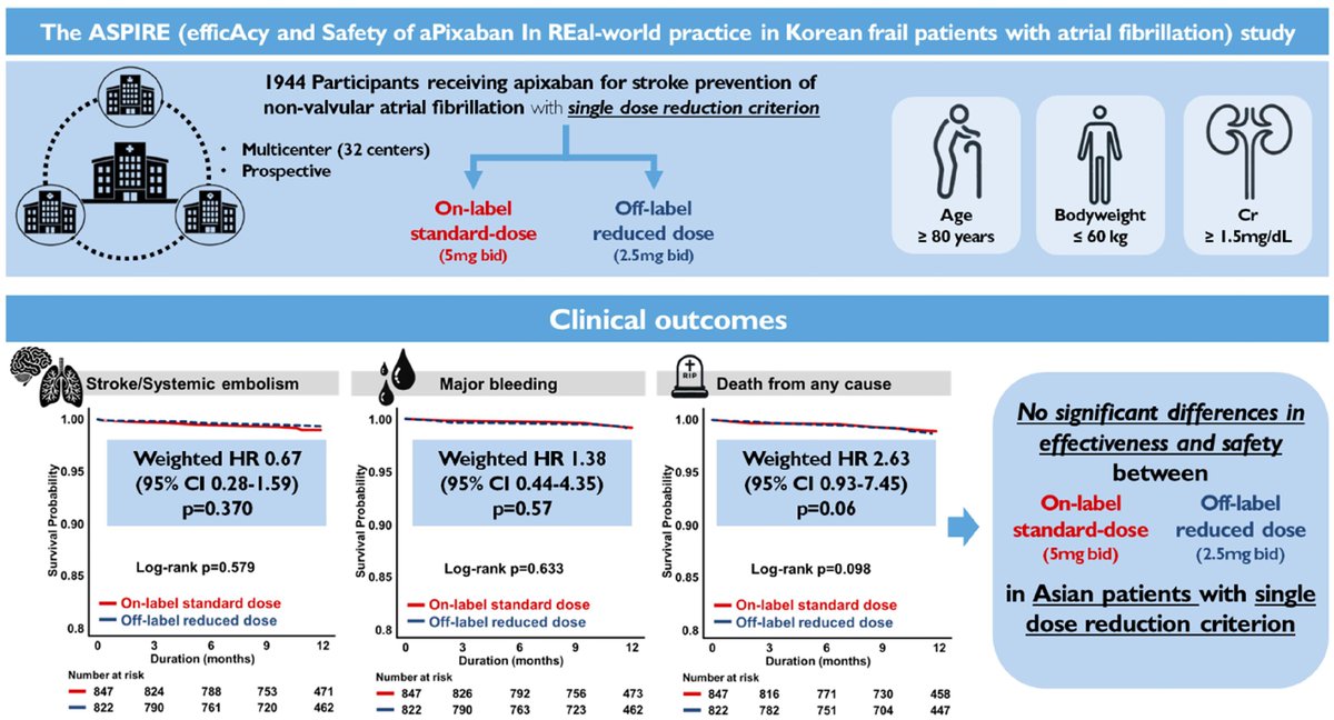European Society of Cardiology Journals (@esc_journals) on Twitter photo 🚨 ✨ Hot off the press! The ASPIRE study evaluating the efficacy and safety of off-label reduced-dose #apixaban in AF patients with a single dose-reduction criterion is now out in #EHJPharmacotherapy! 💊 📖 Read more: ow.ly/kJpF50VnfMp
<a href="/EditorEHJCVP/">EHJ-CVP Editor-in-Chief</a> <a href="/FeliceGragnano/">Felice Gragnano</a> 🚨 ✨ Hot off the press! The ASPIRE study evaluating the efficacy and safety of off-label reduced-dose #apixaban in AF patients with a single dose-reduction criterion is now out in #EHJPharmacotherapy! 💊 📖 Read more: ow.ly/kJpF50VnfMp
<a href="/EditorEHJCVP/">EHJ-CVP Editor-in-Chief</a> <a href="/FeliceGragnano/">Felice Gragnano</a>