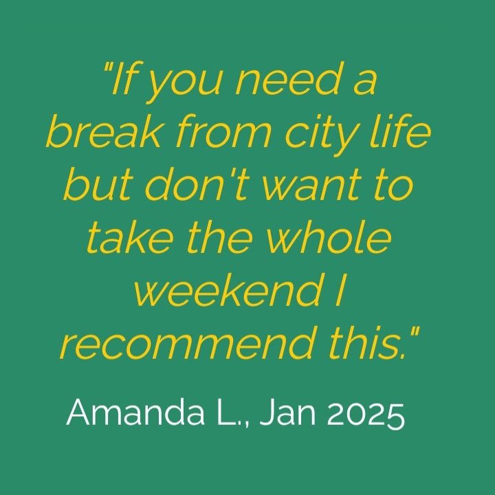 campfire_xp's tweet image. ❤️ the feedback! Want to feel like Jo, Catherine, Orla & co? Browse our upcoming events... campfirexp.com
#Oxfordshire #Cotswolds #nature #connection #workshop #sustainable #outdoors #community #activities