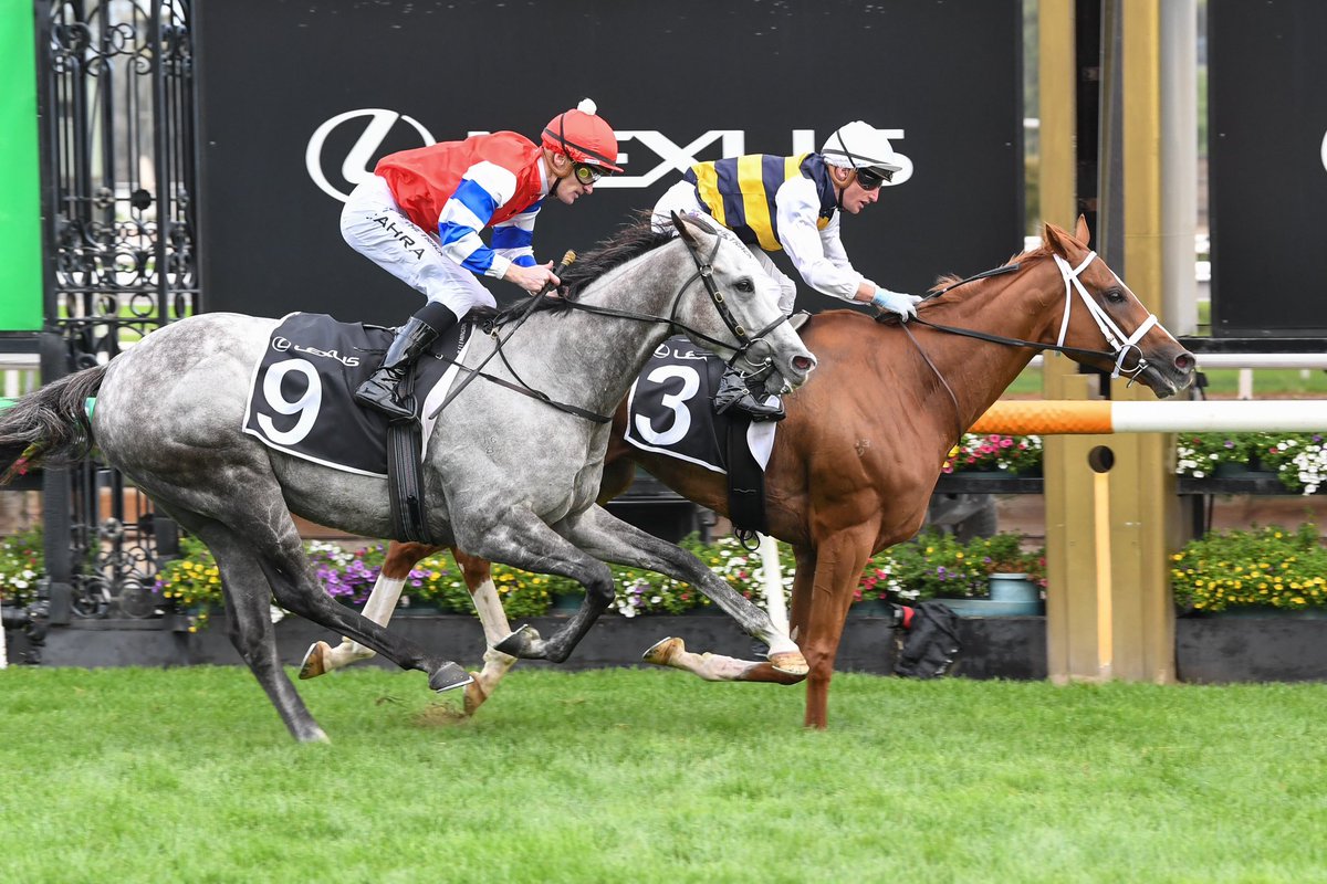 FlemingtonVRC's tweet photo. .@DanielStack33 and Deakin take home the Lexus Roy Higgins for @pstokesracing 🏆 bring on the Lexus @MelbourneCup!

#AusCup #RacingSpectacular https://t.co/Dlw27lTYua