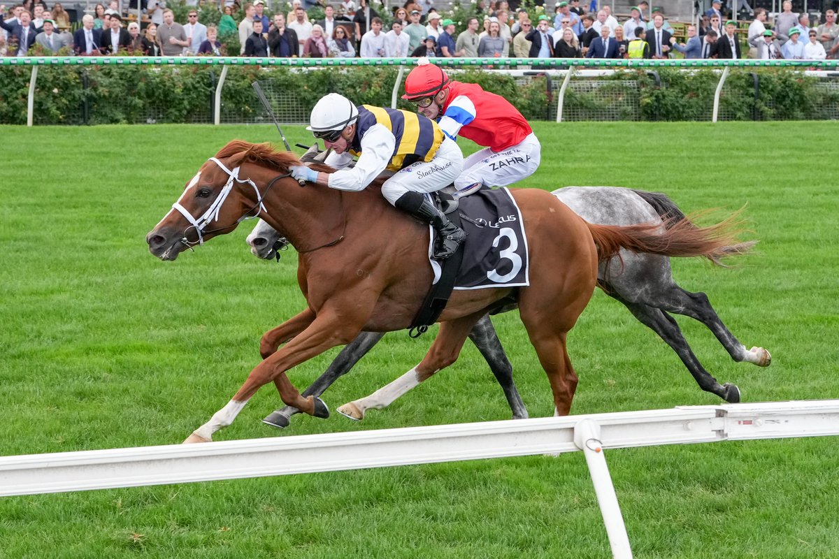 FlemingtonVRC's tweet photo. .@DanielStack33 and Deakin take home the Lexus Roy Higgins for @pstokesracing 🏆 bring on the Lexus @MelbourneCup!

#AusCup #RacingSpectacular https://t.co/Dlw27lTYua