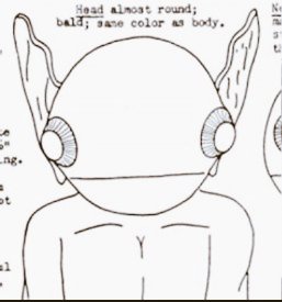 SLastAwakening's tweet photo. A black-and-white sketch of a humanoid figure with a round, bald head, large pointy ears, and big circular eyes. It’s linked to the 1955 Kelly-Hopkinsville encounter, where a family reported seeing strange alien-like beings. https://t.co/tw8nbogDQb
