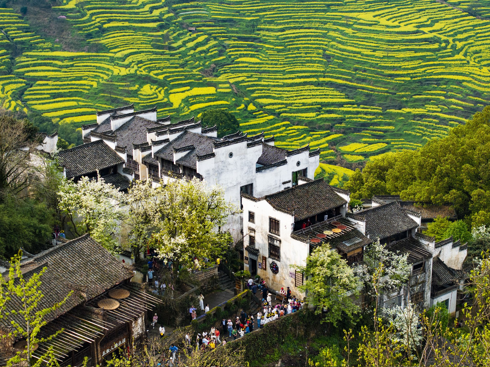 南方褶皱Live in the South Wind 朱宝蕾 中国 廃墟 写真集