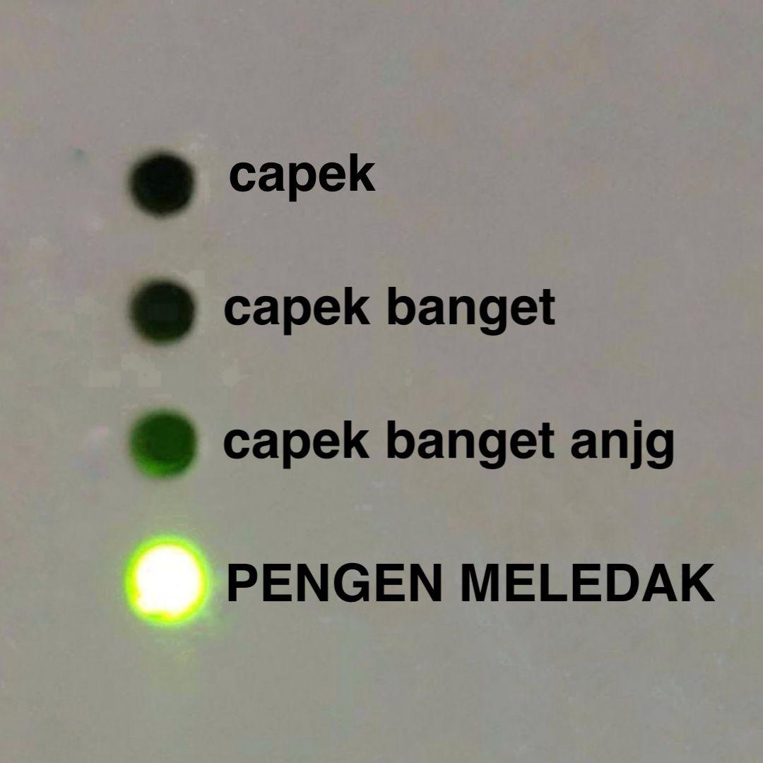 S H E L L A tweet media