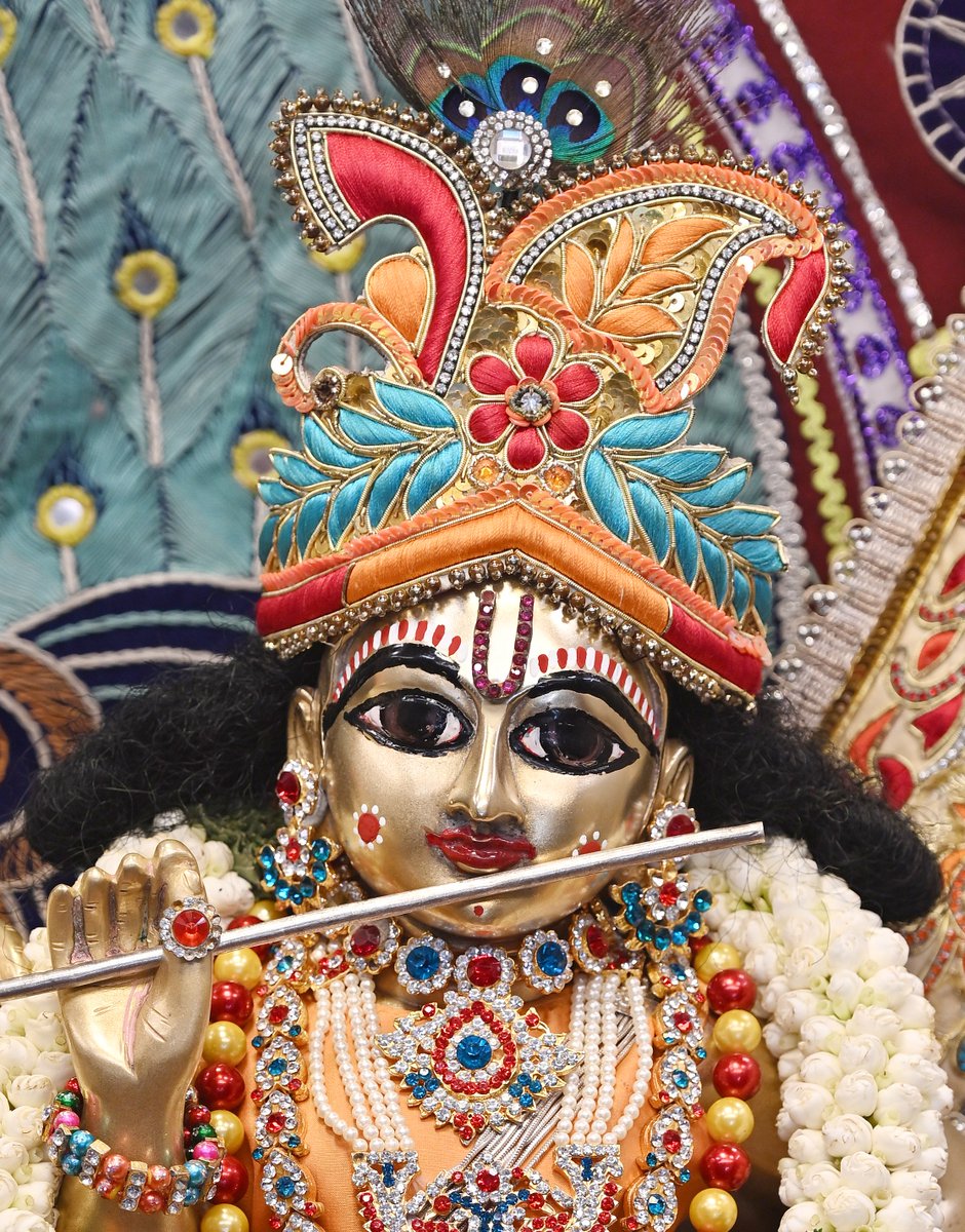 29-03-2025
tinyurl.com/9dn55epk