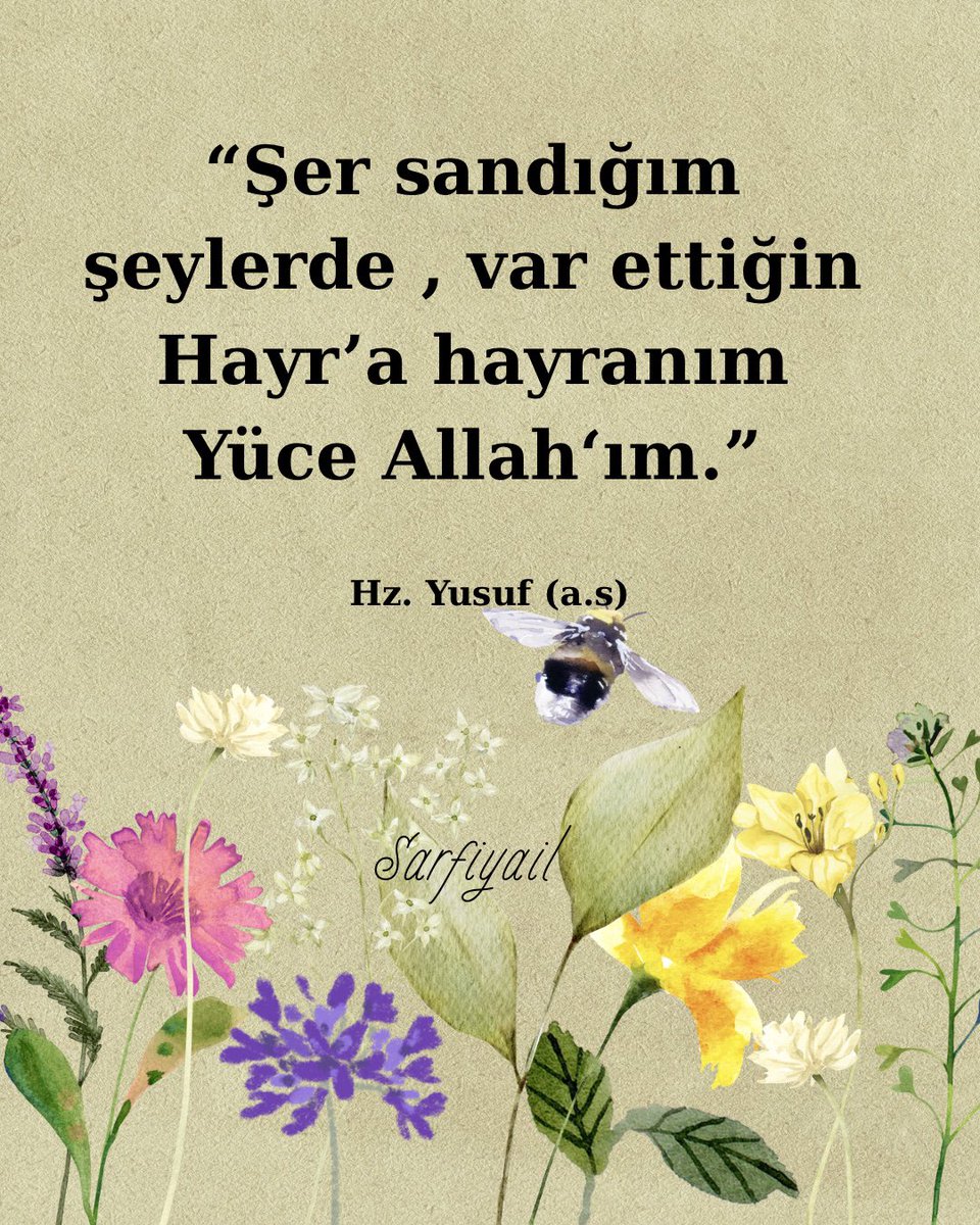 Sarfiyaill's tweet photo. Sözler... 🪷🪷
“Şer sandığım şeylerde , var ettiğin Hayr’a hayranım Allah‘ım.”
Hz Yusuf (a.s)
#hzmuhammed #hzmuhammedsav #dini #aynet #ayetikerime #hadisişerif #hadisişerifler #hadisiserif #islam #i̇slam #din #kuran #karani #kuranıkerim #kuranikerimasktir #kuranikerimasktir #sözmühendisi #sozmuhendisi #hzmuhammedmustafa #hzmuhammedsallallahualeyhivesellem #Ramazan2025 #RamazanBereketi #RamadanMubarak #Ramadan2025