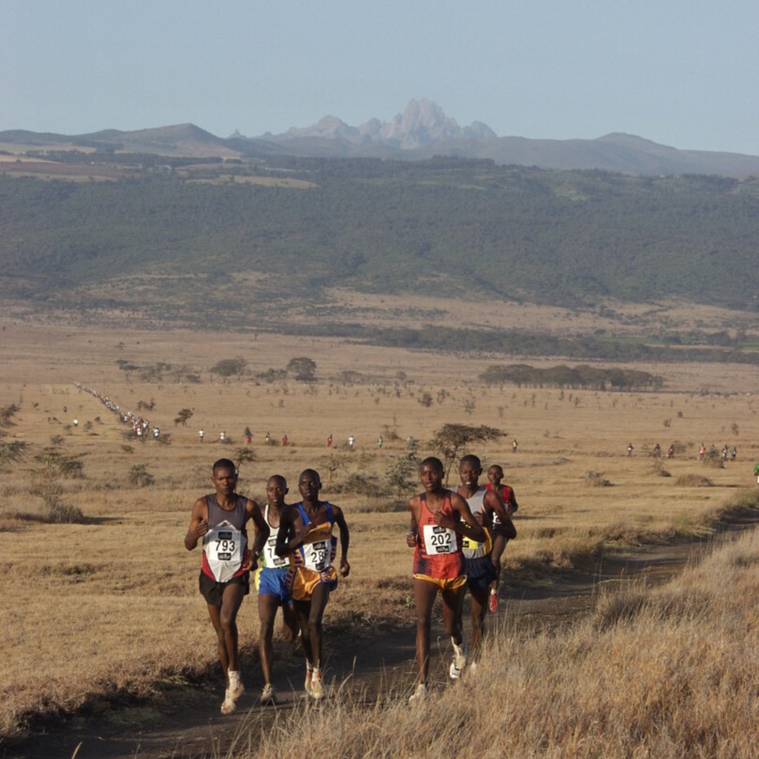 Tusk (@tusk_org) on Twitter photo β³ FINAL CALL β³
Registration closes on 30th March for our Kenyan runners!
β¨ Run for wildlife. Run for people. Run for purpose.
π Lewa Wildlife Conservancy
π
Race Day: 28th June
π» Register now: lewasafarimarathon.co.ke/register/
<a href="/LewaSafMarathon/">Lewa Safari Marathon</a>π
@lewaconservancy π¦ β³ FINAL CALL β³
Registration closes on 30th March for our Kenyan runners!
β¨ Run for wildlife. Run for people. Run for purpose.
π Lewa Wildlife Conservancy
π
Race Day: 28th June
π» Register now: lewasafarimarathon.co.ke/register/
<a href="/LewaSafMarathon/">Lewa Safari Marathon</a>π
@lewaconservancy π¦