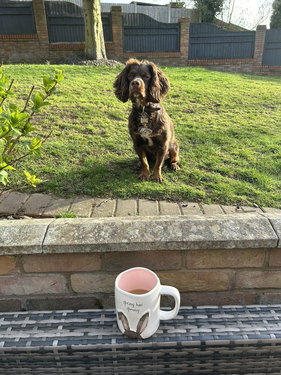 What a lovely #SaturdayMorning 

Me
The boy
The birds
Mr Sunshine 
&amp; my cuppa 

Peace 
#simplethings
#everydaysagift x