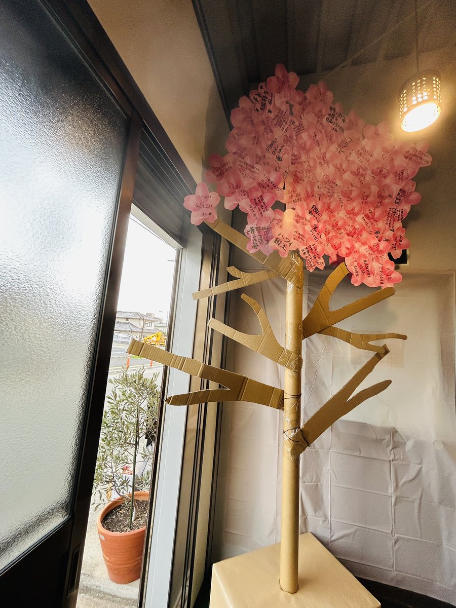 明日の準備完了🤡✨

現時点で集まった夢の桜状況はこんな感じです！
80枚くらいでしょうか✨
夢の桜カードは全部で200枚！
明日、満開になりますように！

#AprilDream
#だがしでえがおに
#みちくさ本舗
#たんたん駄菓子堂