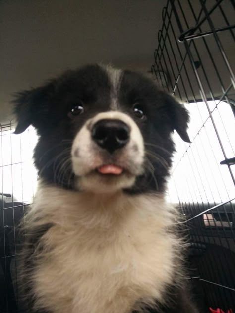 Larry Dragospiro tweet media