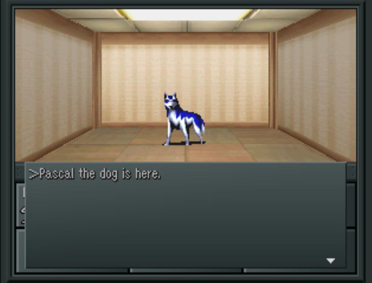 puppycelebrity's tweet image. #pascal