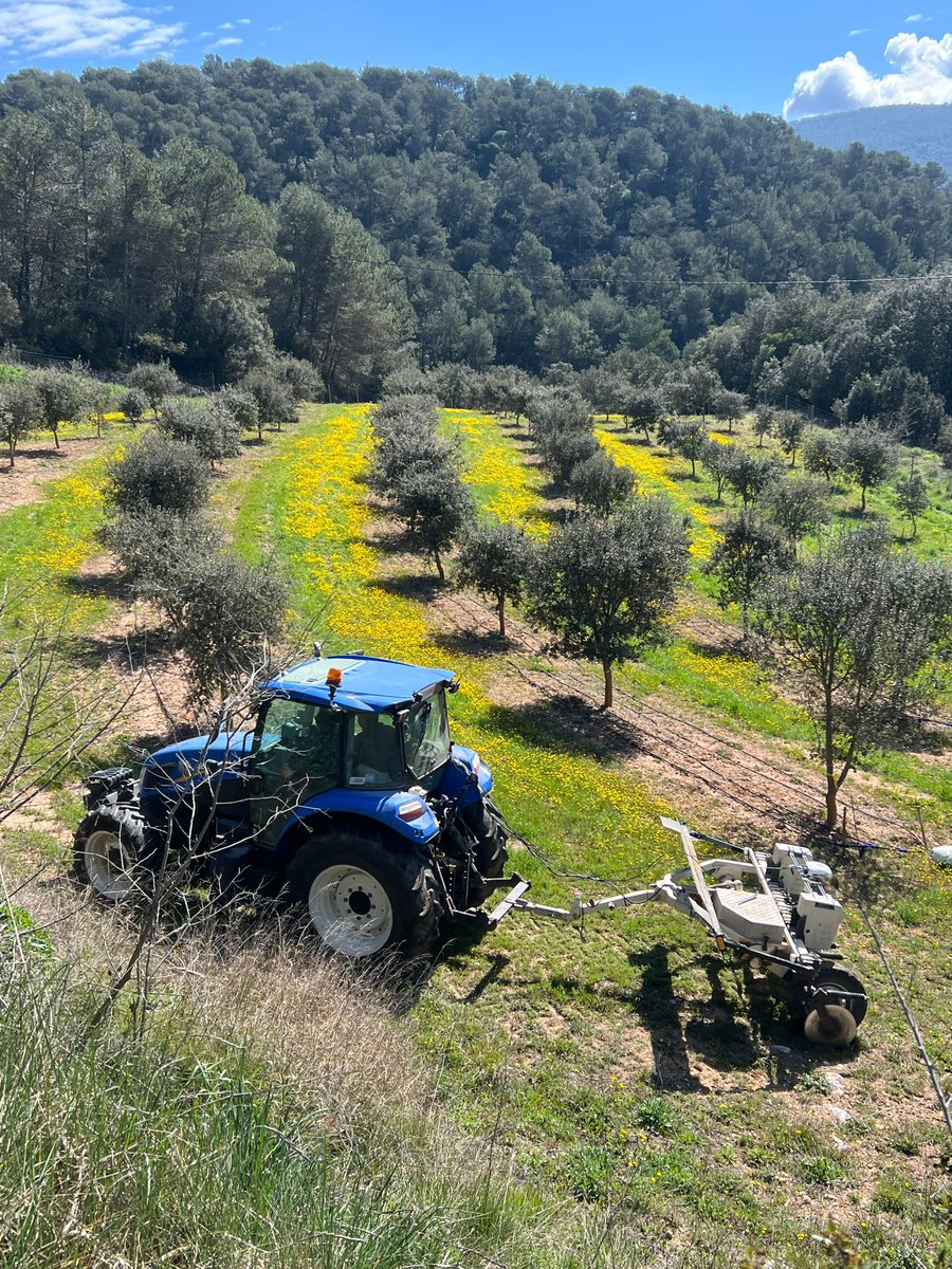 GrapUdL's tweet image. Have you ever mapped the soil apparent electrical conductivity of holm oak plots used for truffle cultivation? The Veris 3100 @VerisTech can handle it all. #DIPROTES project @Agrotecnio @agriculturacat (@GrapUdL @UdL_info @ETSEAFIV_UdL). Nice spring landscape and nice truffles.