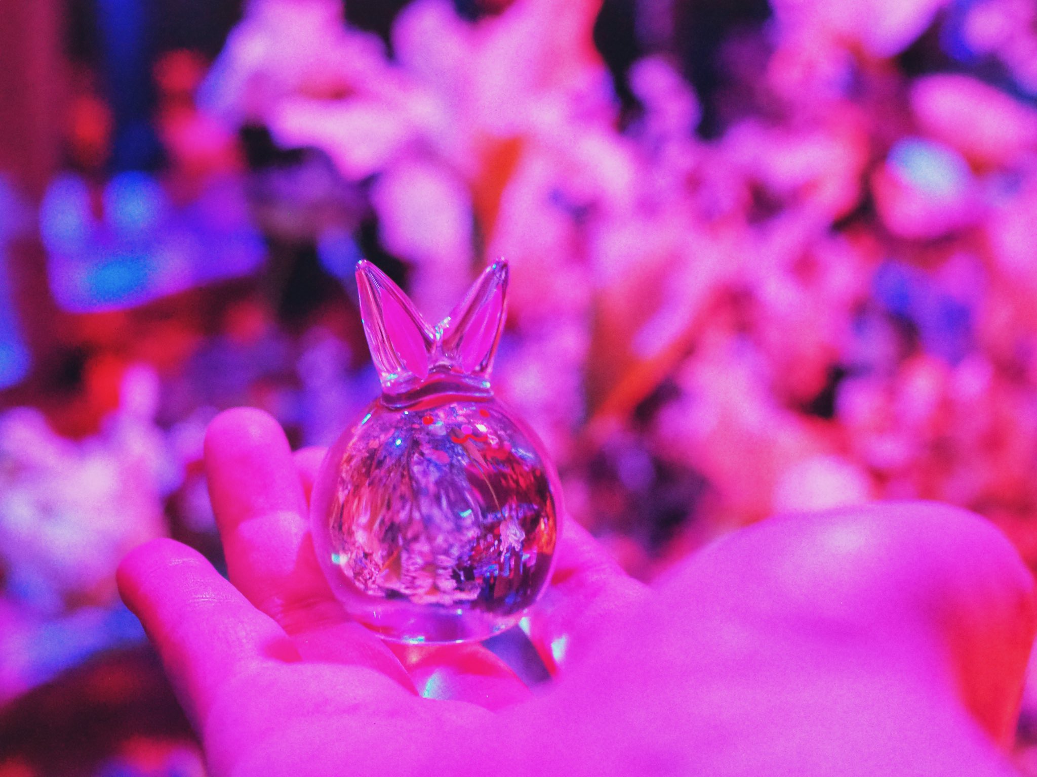 シーグラスアート「ゆめ色うさぎ ~虹が星に変わったら」ふたごちゃん　ピンク　レア シーグラスアート「ゆめ色うさぎ ~虹が星に変わったら」ふたご