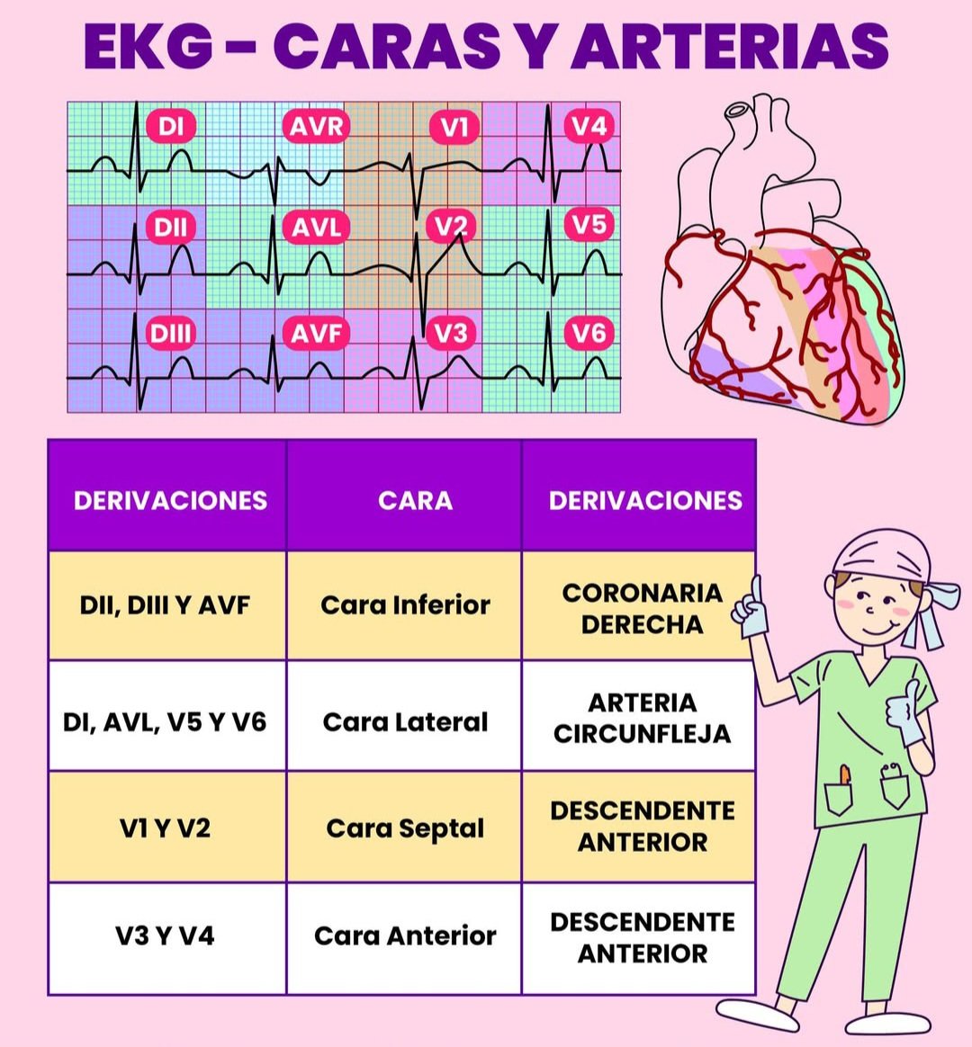 AldecoBravo's tweet photo. Repaso 🫀🫀🫀 https://t.co/8VPu0TzLb6