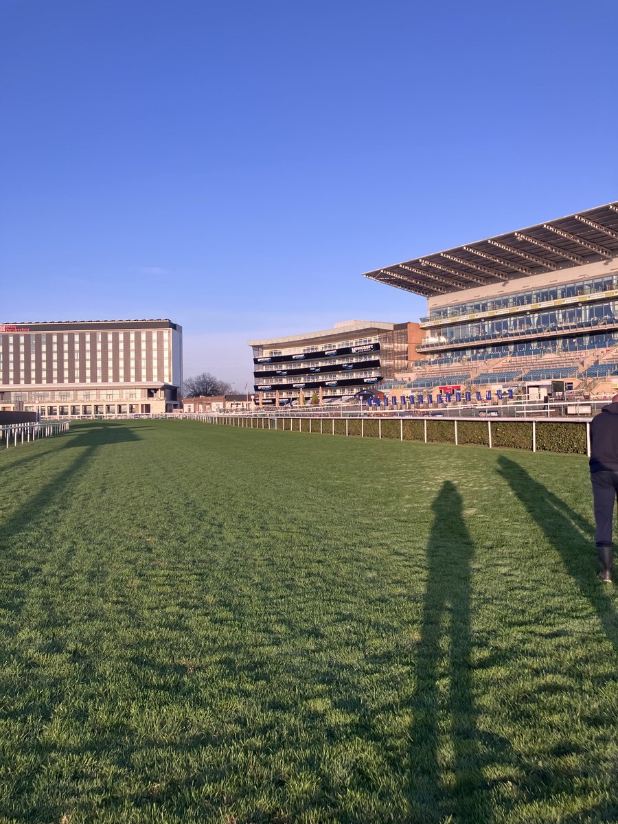 Blue sky, green grass. The going is good to soft on the straight, &amp; good to soft, soft in places on the round course. going stick 6.1.