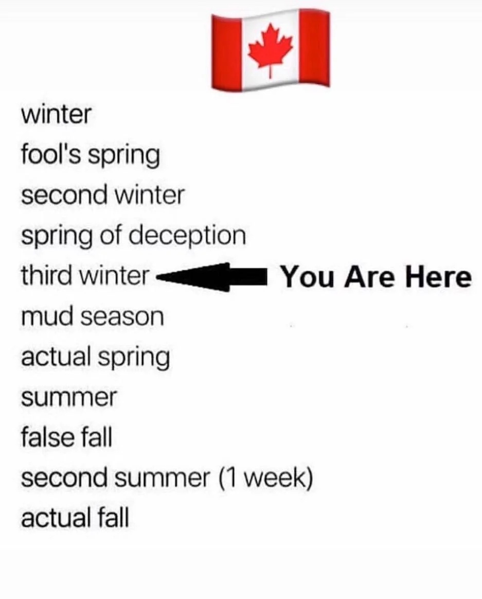 Spring of deception is over. Third winter in full swing. #ONStorm