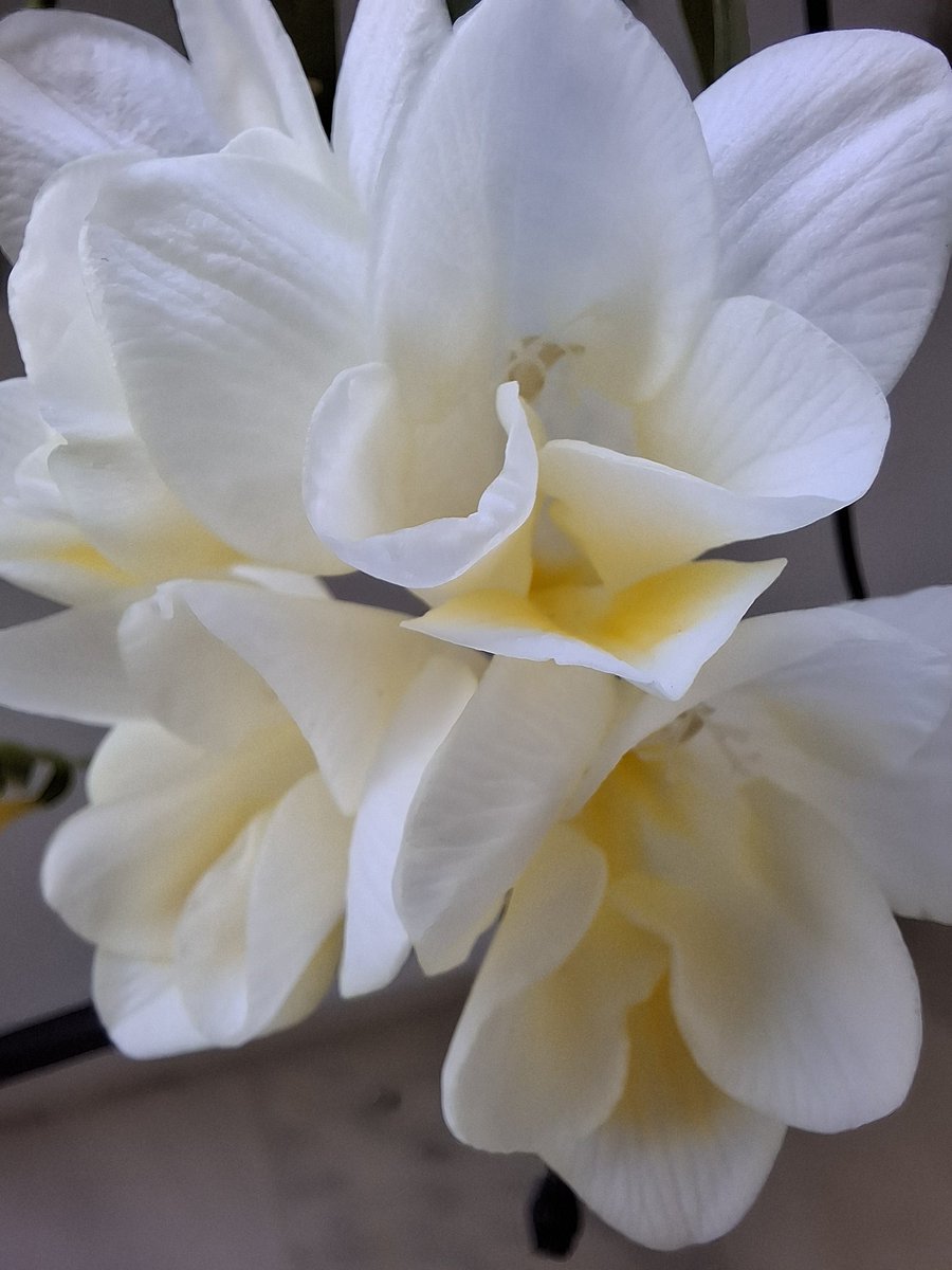 Καλημέρες ☺️