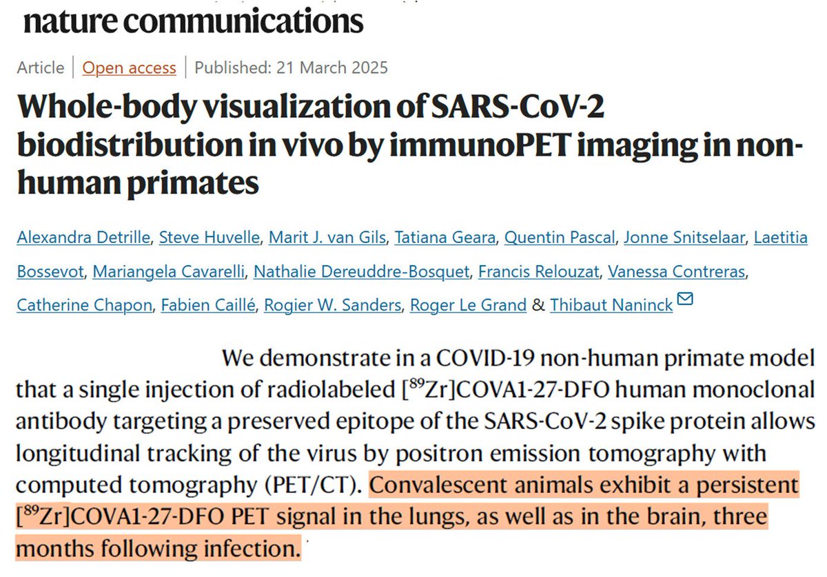 Danielle Beckman (@danibeckman) on Twitter photo There must be a reason why a neuroscientist and a respiratory physician get together to say some things are not quite right in #LongCovid. Persistence of spike protein in the lungs and brain?
-with <a href="/DavidJoffe64/">David Joffe MB BS (Hons), PhD, FRACP π¦πΊ</a> There must be a reason why a neuroscientist and a respiratory physician get together to say some things are not quite right in #LongCovid. Persistence of spike protein in the lungs and brain?
-with <a href="/DavidJoffe64/">David Joffe MB BS (Hons), PhD, FRACP π¦πΊ</a>