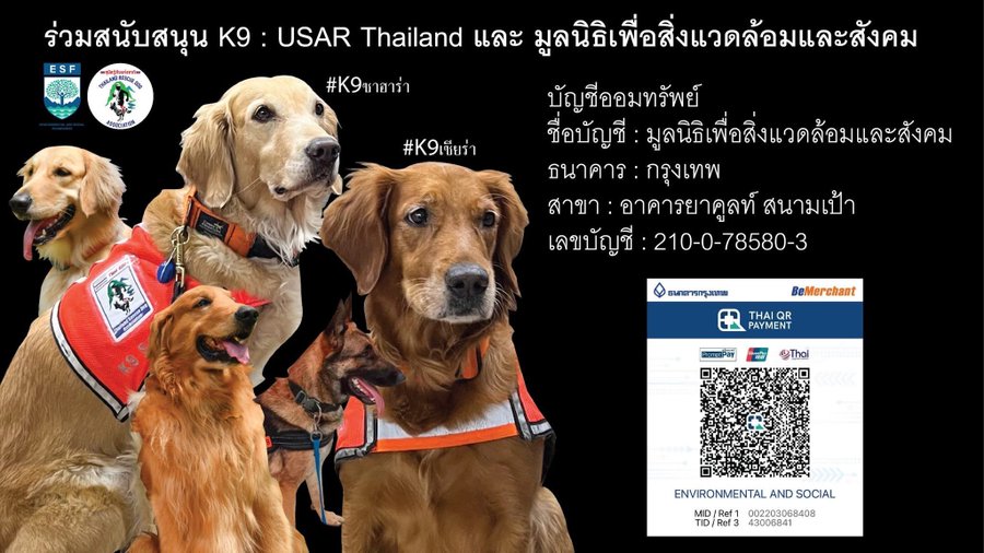 UpPoomCity's tweet image. ทางพี่ๆแจ้งมาว่าของบริจาคในตอนนี้เพียงพอแล้ว แต่ถ้าใครอยากจะสมทบทุนสนับสนุนน้องๆ (มี2ทีม) สามารถโอนเข้าบัญชีด้านล่างได้เลยค่ะ

🚨ตรวจสอบชื่อบัญชีให้เรียบร้อยเพื่อป้องกันมิจฉาชีพนะคะ 🚨

#สุนัขK9 #แผ่นดินไหว