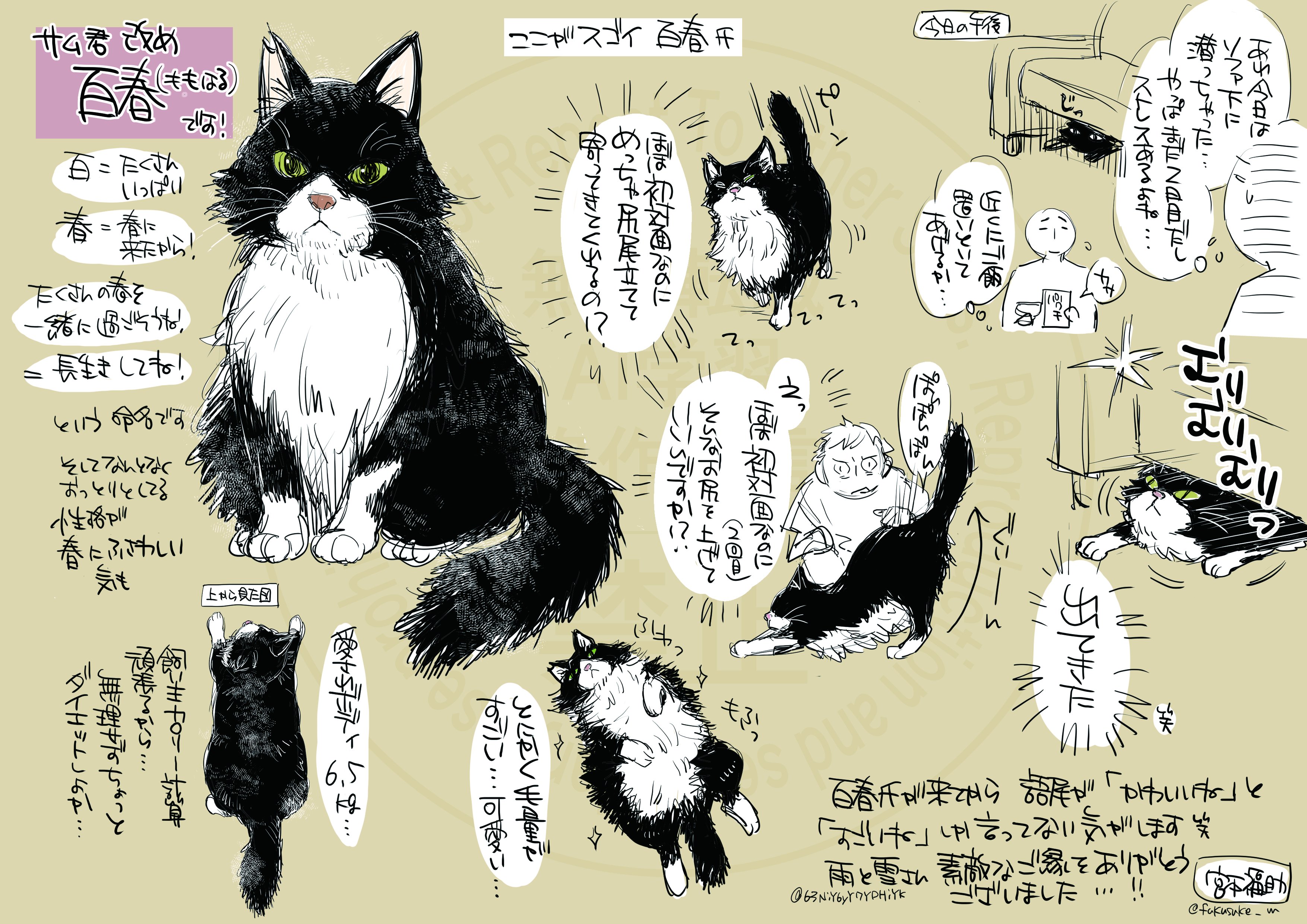 宮本福助 (@fukusuke_m) / X
