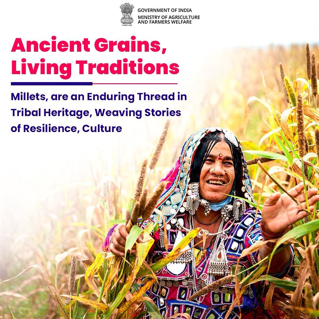 Ancient Grains, Living Traditions: Millets, an enduring thread in tribal heritage, nourish stories of resilience, culture and vitality.

#IYM2023 #ShreeAnna #traditional #ancient #grains