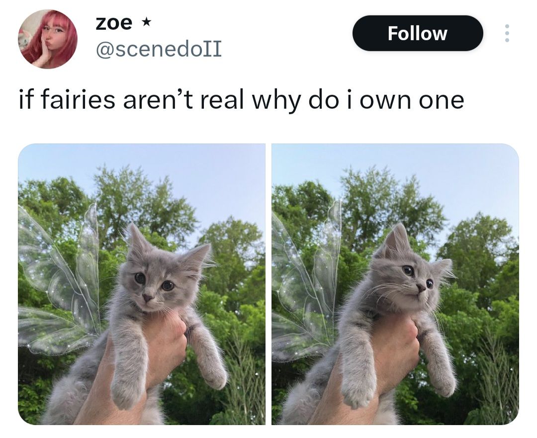ShouldHaveCat's tweet photo. https://t.co/BBu8xAPKRz