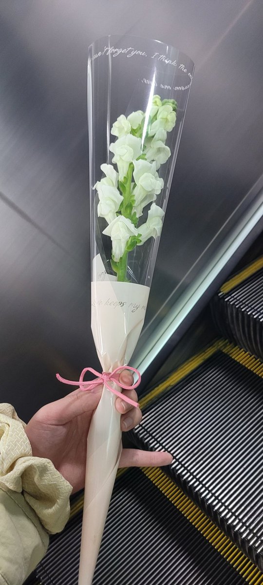 좋아하는 언니한테 한명씩 꽃을 선물주고 있다...좋아해주셔서 마음이 참 좋아