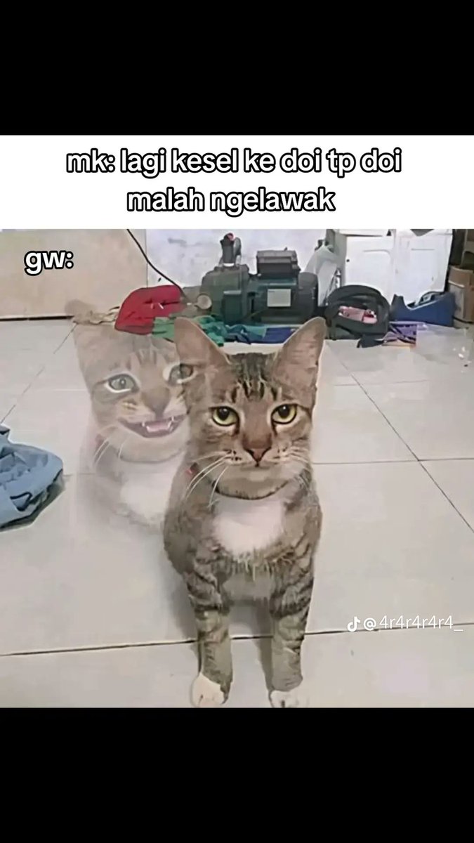 <a href="/tanyarlfes/">Tanyarlfes</a> Wkwk ngeselin emng, tp gue jg suka asbun