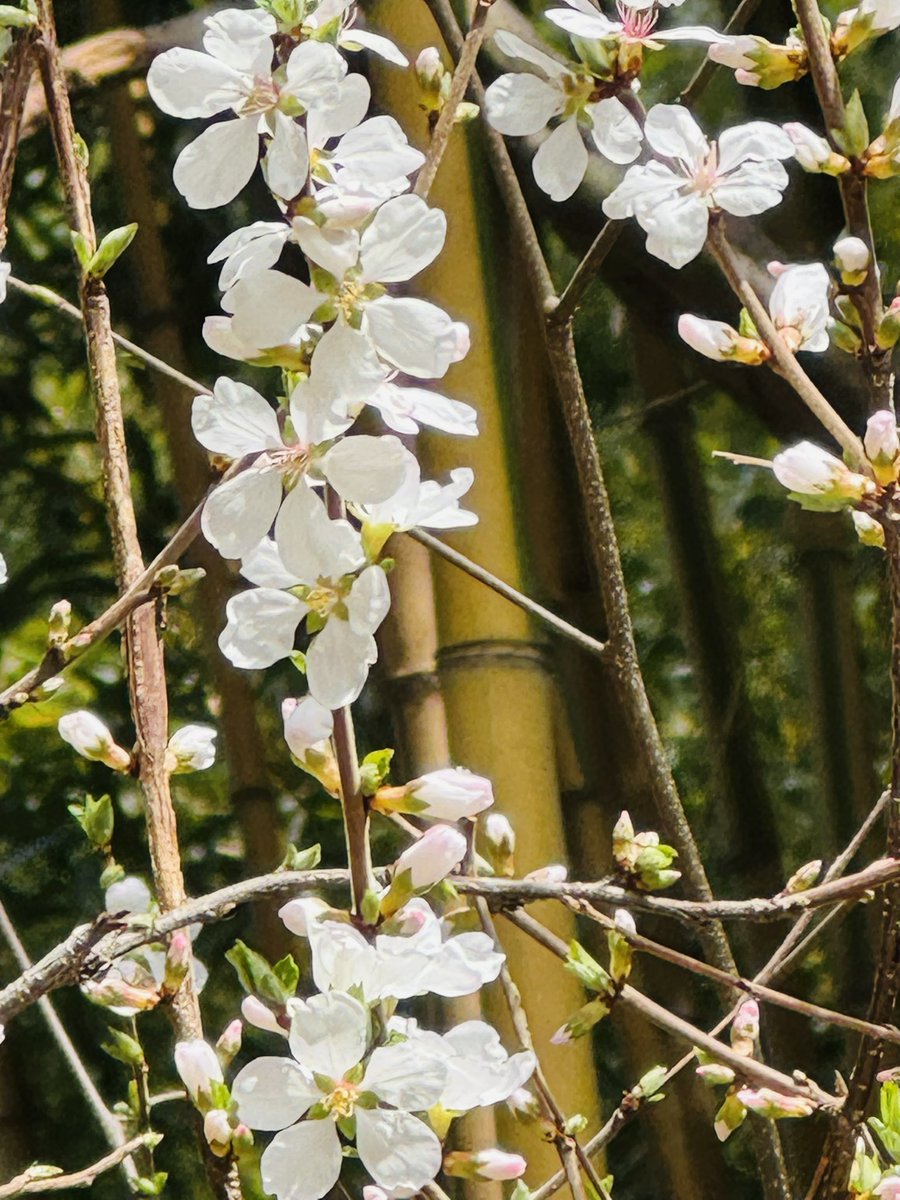 usaventura tweet media