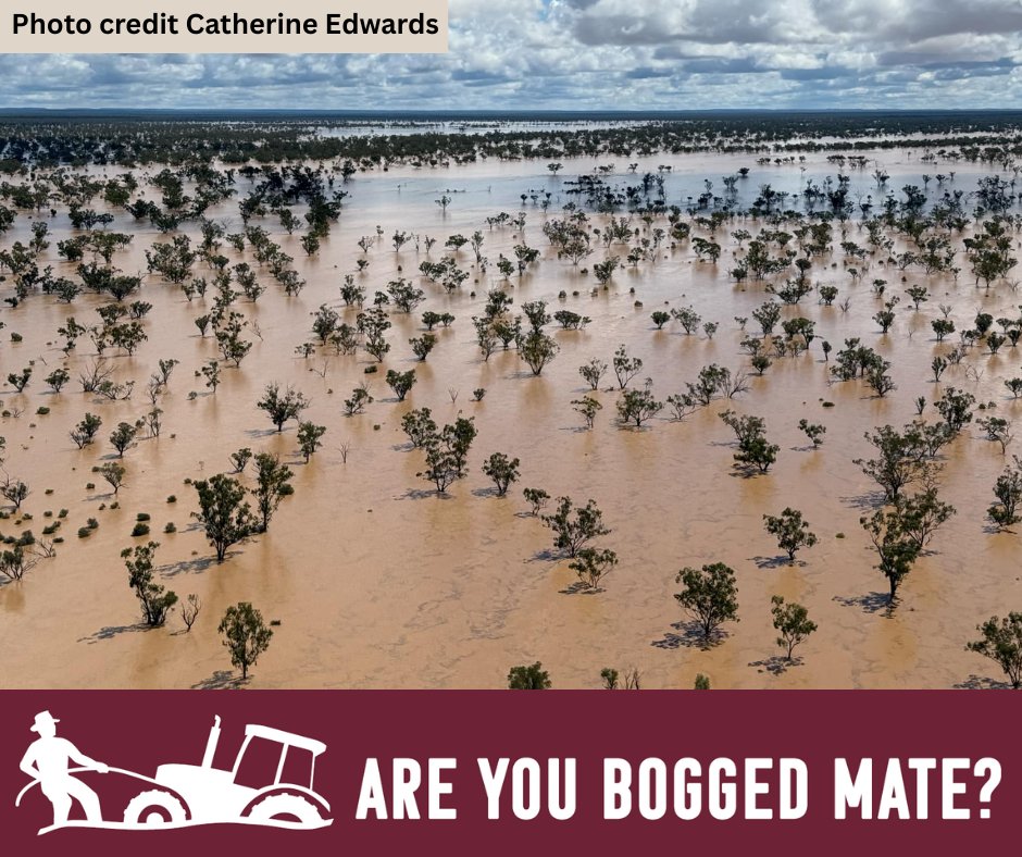 To our mates in Western Qld, we've got your back.
You are not alone &amp; we have some mates that can give you a hand.
We recommend these organisations to help you out during this rough time.
(long post, rest in comments)
#areyouboggedmate
#farmangels
#ruralaid
#qcwa
#TIACS