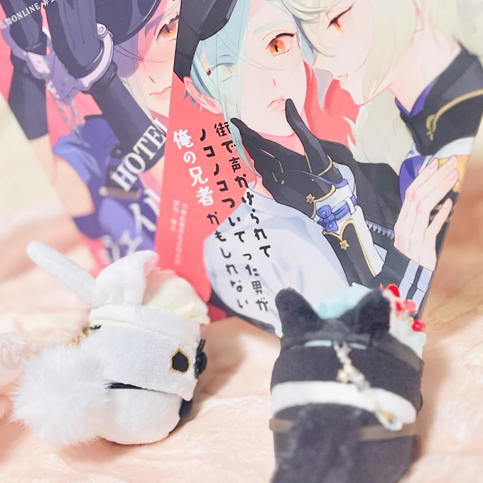 おもち達もすごく気に入って巣材にし、あっこ、これは…こっちは主がずっと楽しみにしてたご本だから…おもちにはまだ早いからね~……回収 