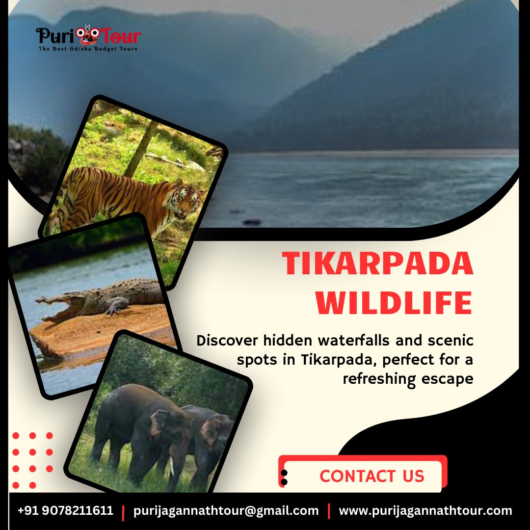jagannath_tour's tweet image. Explore Tikarpada, a serene destination known for its lush landscapes, rich biodiversity, and breathtaking views along the Mahanadi River, perfect for nature lovers and adventure enthusiasts.
More info &amp;gt;&amp;gt; purijagannathtour.com
WhatsApp : +91 9078211611

#puritour  #tikarpada
