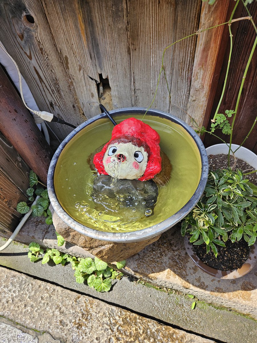 Jy8jWuxwIgyxgHz's tweet image. ソフトクリームのリベンジとしてアイス
美味しい
　
ポニョが水飛ばしてた
　
#諸葛望愛
#Noapi