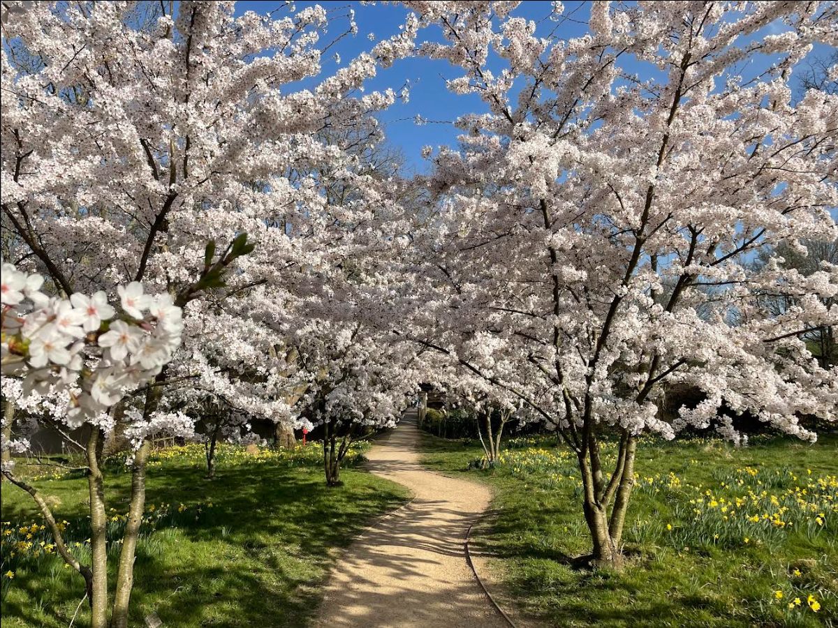 April news! Easter Egg trail, Talks &amp; Tours, Animal Encounters and a quick look into May at our Samurai to Sci-Fi event (May the Fourth be with you!) as well as Imagine the Beatles kicking off our live music events for the year - [Campaign URL]