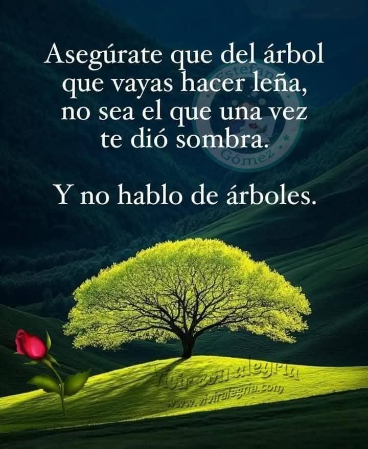 VidaEquilibrada (@vidaequilibrad4) on Twitter photo 