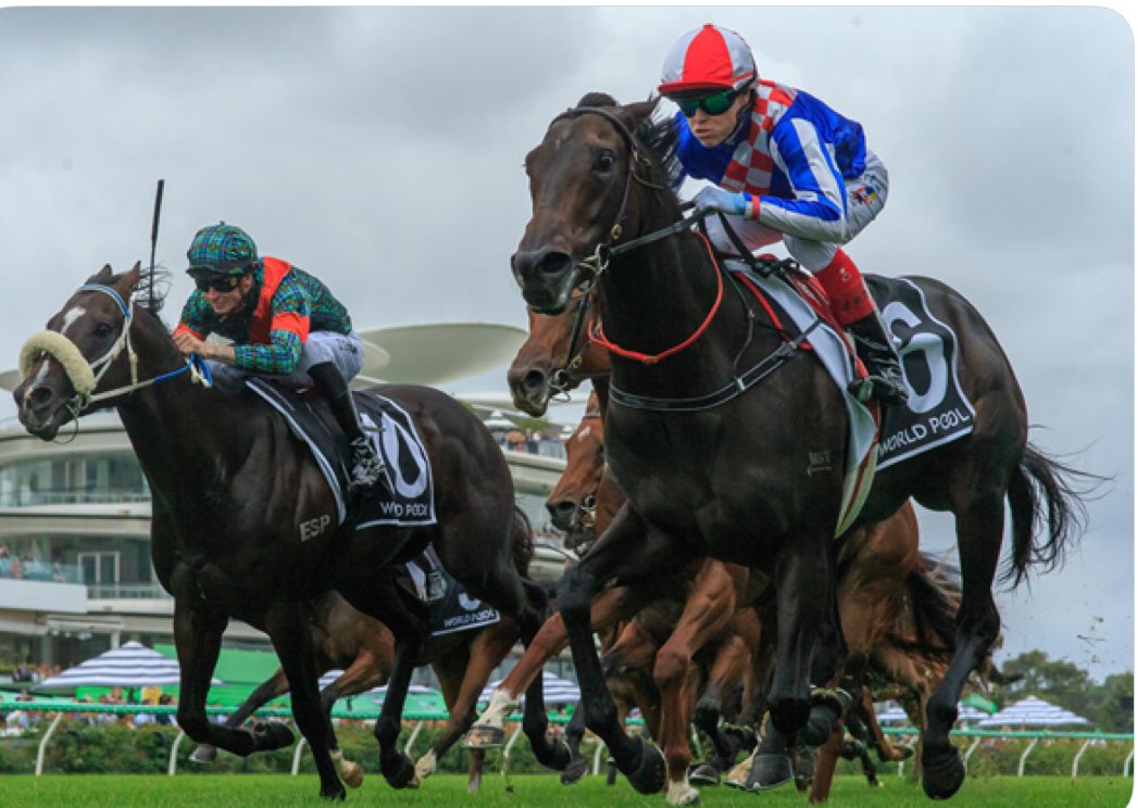 Shadow Hill Th'breds (@shadowhillvic) on Twitter photo Alabama Lass ⭐️ ⭐️ ⭐️
She bought her good form across from NZ, the straight proving no obstacle.
Congrats to Rifa Mustang who bred this outstanding filly.
Shadow Hill born, raised and sold
A Group 1 win is just around the corner
<a href="/YulongInvest/">Yulong Investments</a> <a href="/MustangRifa/">Rifa Mustang</a> <a href="/inglis_sales/">Inglis</a> Alabama Lass ⭐️ ⭐️ ⭐️
She bought her good form across from NZ, the straight proving no obstacle.
Congrats to Rifa Mustang who bred this outstanding filly.
Shadow Hill born, raised and sold
A Group 1 win is just around the corner
<a href="/YulongInvest/">Yulong Investments</a> <a href="/MustangRifa/">Rifa Mustang</a> <a href="/inglis_sales/">Inglis</a>