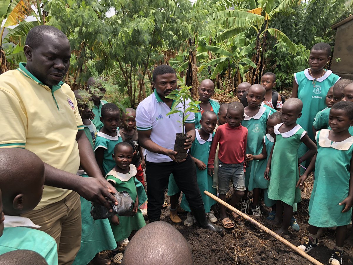 MathiasClimate's tweet photo. @RajeoUganda, @YCCUganda, @youthgogreen and St. Theresa Girls S.S conducting Environmental Education in schools in Rwenzori. Pupils were taught the importance of trees, how to plant and grow trees in their communities. https://t.co/sQKTB9PvgV