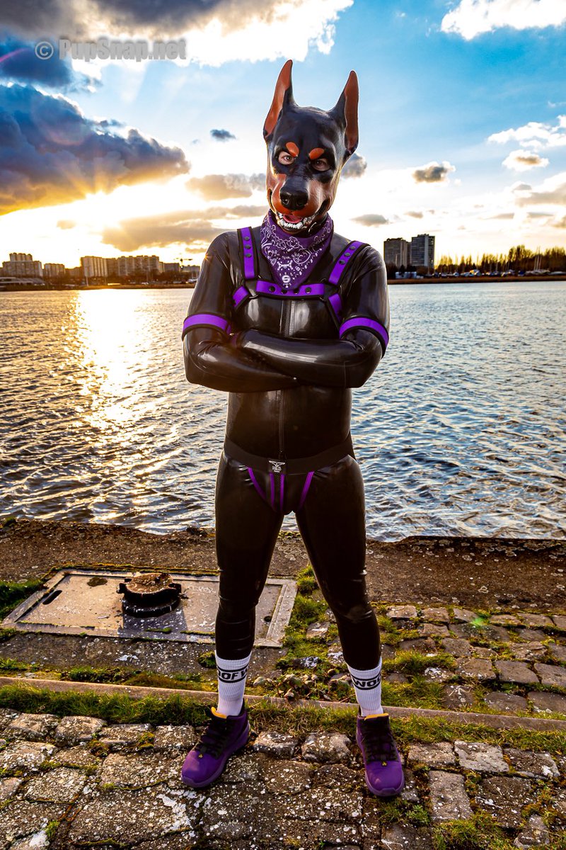 Happy birthday to my darling <a href="/Dobie_Ace/">🇮🇪🏳️‍🌈Dobie-Ace🔜ANTHRO-IRISH🔜EF🔜PAWSOME</a> you are the light in my life, all my snuggles &amp; kisses! 😘🥳