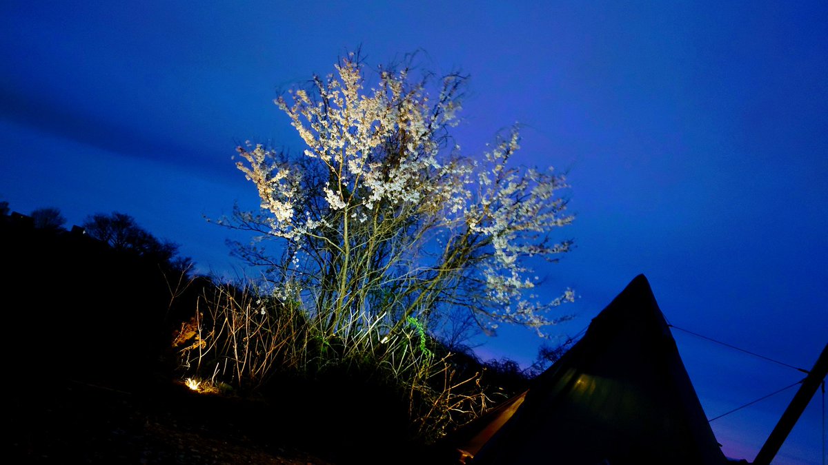 Kazu Camp⛺ tweet media