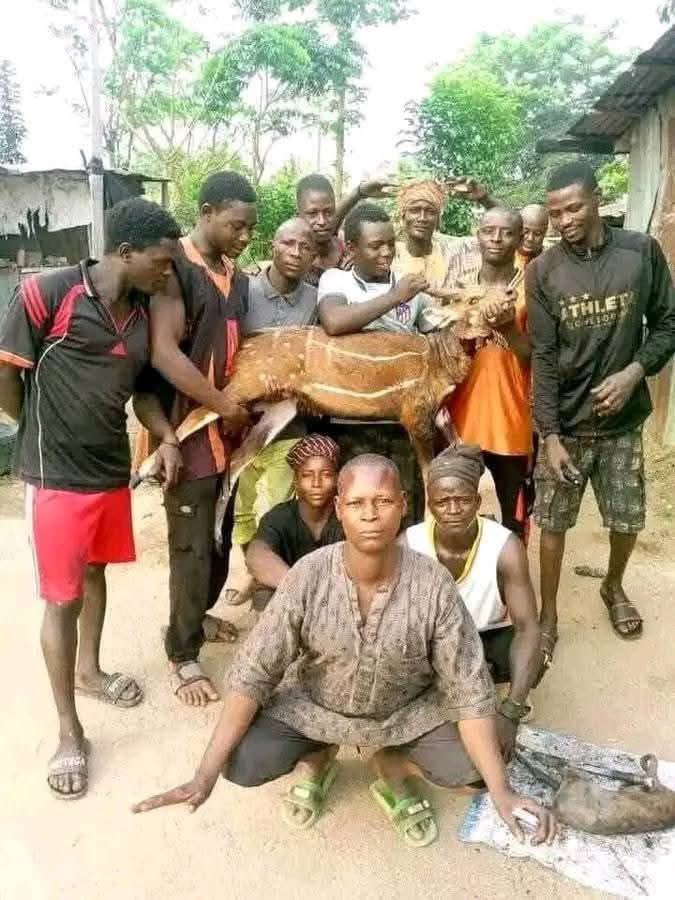 A_Y_Rafindadi's tweet photo. A HAUSA MAN can no longer walk freely in Nigeria.

Dear south, we got the message 💔 https://t.co/iC2M2rLhPi