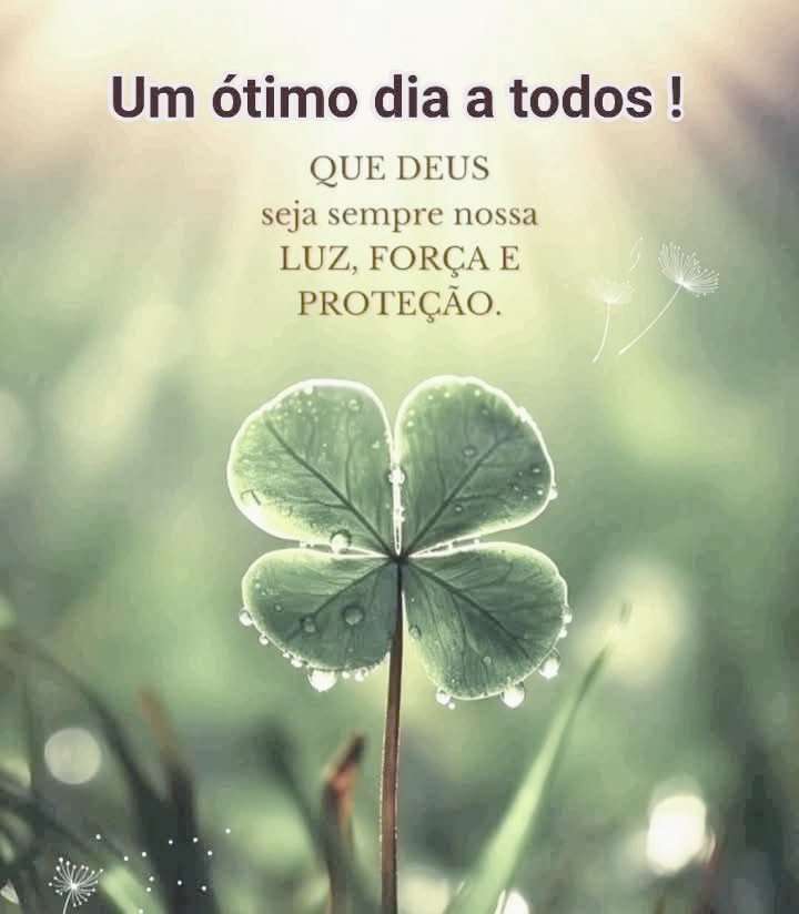 DslgMarcio's tweet image. 