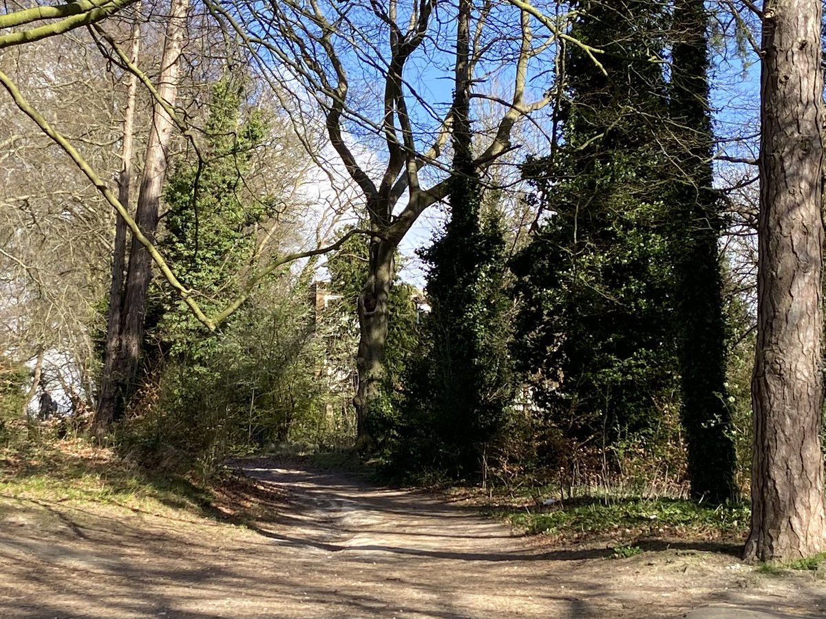 Galen26's tweet photo. @peaklass1 Aim to walk to work ….and appreciate nature.. https://t.co/b3yBnaVUit
