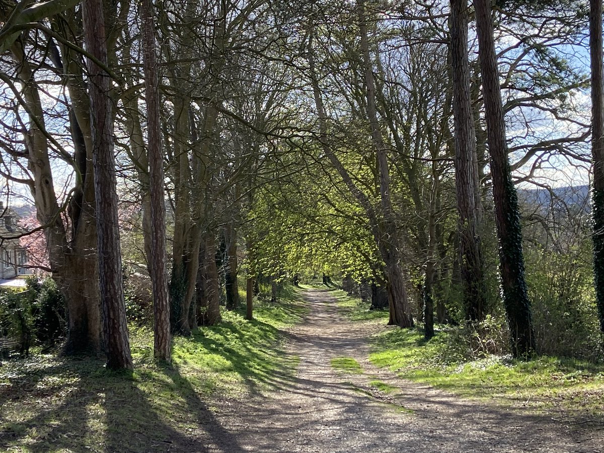 Galen26's tweet photo. @peaklass1 Aim to walk to work ….and appreciate nature.. https://t.co/b3yBnaVUit