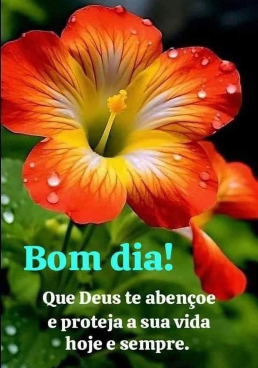 DslgMarcio's tweet image. 