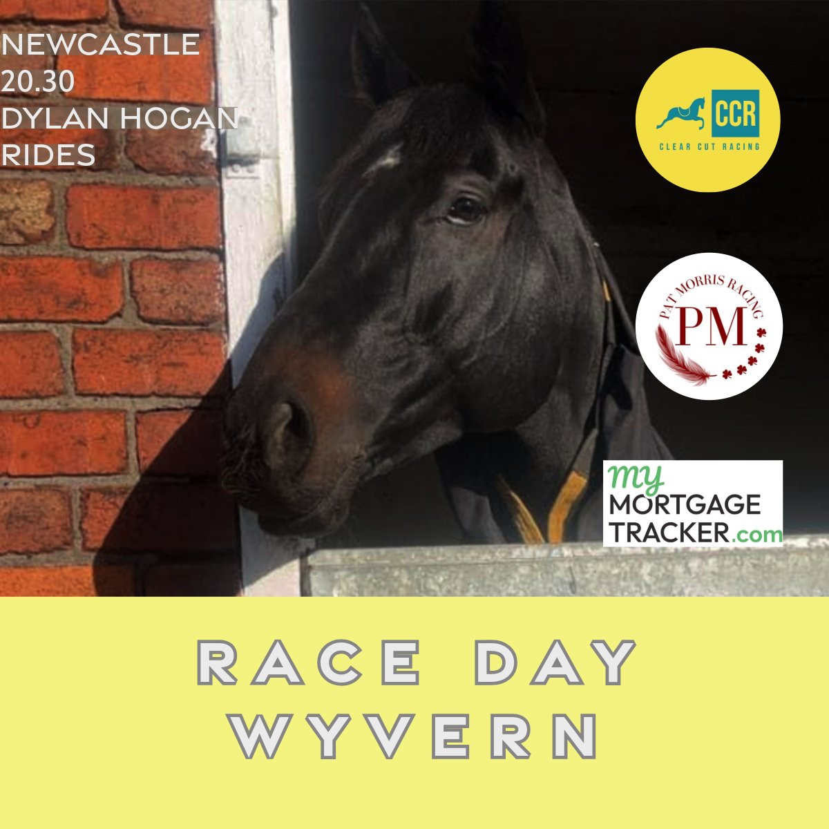 Clear Cut Racing (@clearcut_racing) on Twitter photo Race day for Wyvern!
20.30 <a href="/NewcastleRaces/">Newcastle Racecourse</a>
Ridden by Dylan Hogan
Trained by Pat Morris
Sponsored by Mymortgagetracker.com
Good luck Wyvern, Dylan and all our members ❤️ Race day for Wyvern!
20.30 <a href="/NewcastleRaces/">Newcastle Racecourse</a>
Ridden by Dylan Hogan
Trained by Pat Morris
Sponsored by Mymortgagetracker.com
Good luck Wyvern, Dylan and all our members ❤️
