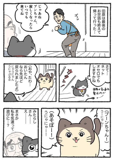 ねこ ねこに転生したおじさん。その682 | やじま@ねこおじ7・8巻予約中 さん