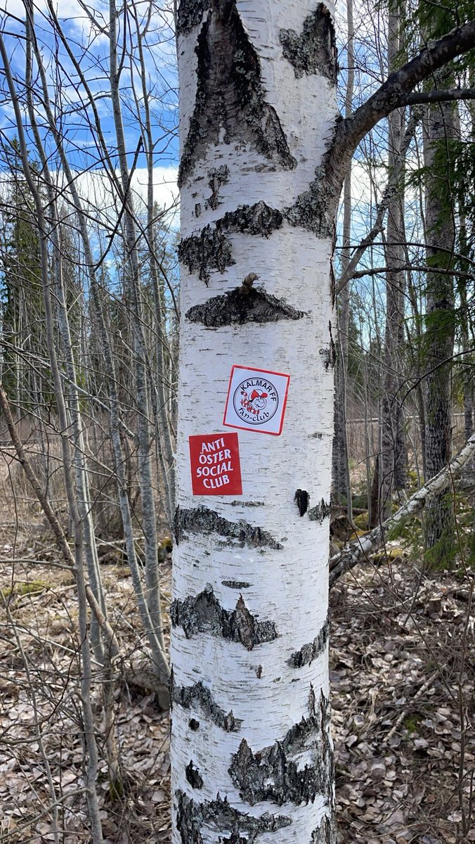 treketfrasse's tweet image. Till och med brist på lyktstolpar i Superettan. Mot Sandviken