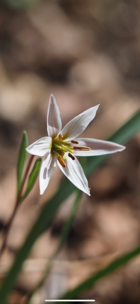 MasA naTureeee tweet media